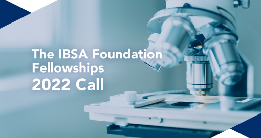 The IBSA Foundation Fellowships 2022 Call